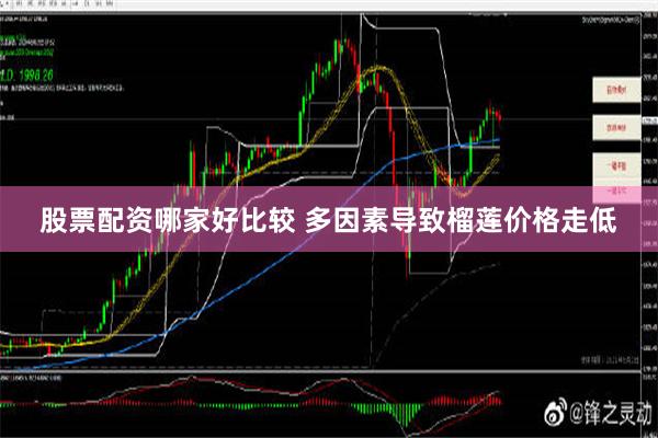 股票配资哪家好比较 多因素导致榴莲价格走低