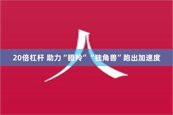 20倍杠杆 助力“瞪羚”“独角兽”跑出加速度