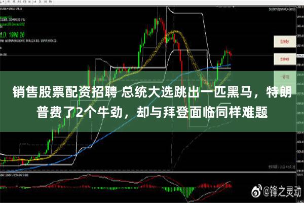 销售股票配资招聘 总统大选跳出一匹黑马，特朗普费了2个牛劲，却与拜登面临同样难题