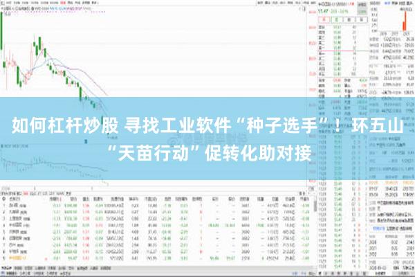 如何杠杆炒股 寻找工业软件“种子选手”！环五山“天苗行动”促转化助对接