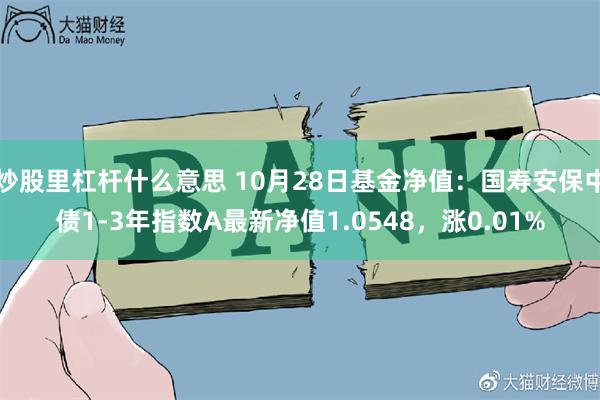 炒股里杠杆什么意思 10月28日基金净值：国寿安保中债1-3年指数A最新净值1.0548，涨0.01%