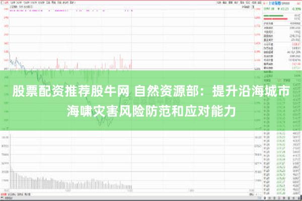 股票配资推荐股牛网 自然资源部：提升沿海城市海啸灾害风险防范和应对能力