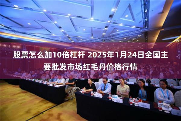 股票怎么加10倍杠杆 2025年1月24日全国主要批发市场红毛丹价格行情